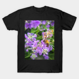 Honey bee on a purple lavender flower T-Shirt